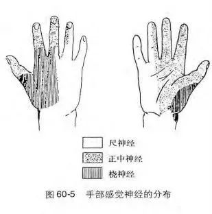 骨科常见手部外伤的诊断及治疗技巧，详细答案全解！