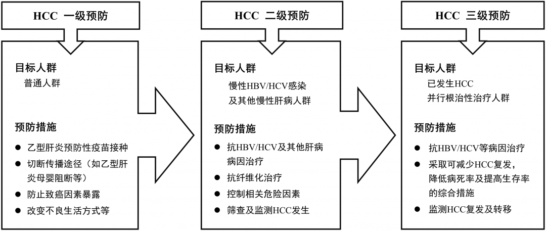 肝癌频发,谁是高危人群?