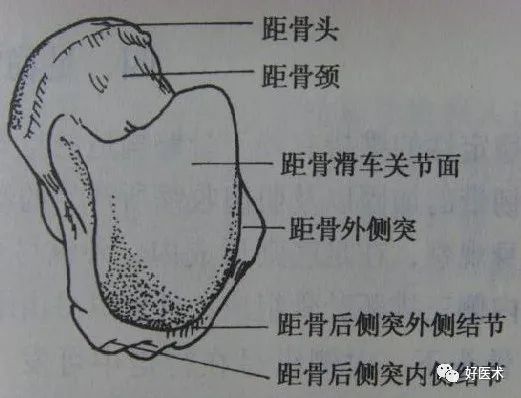 经典骨科影像片子大汇总，独立值班应急宝典！