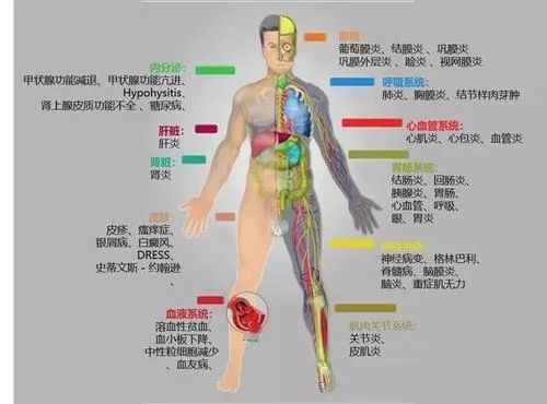 免疫治疗出现不良反应就要停药？来看权威专家怎么说！