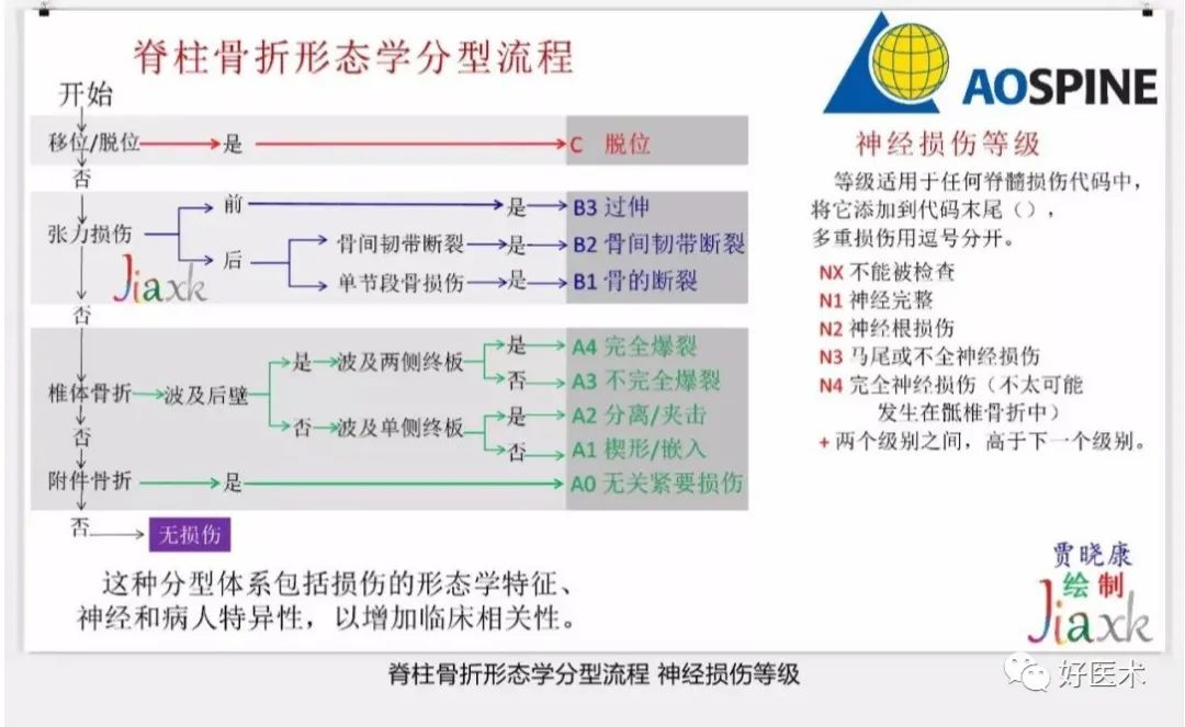 收藏版：636张AO骨折分型高清彩色图谱，比教科书更清晰！