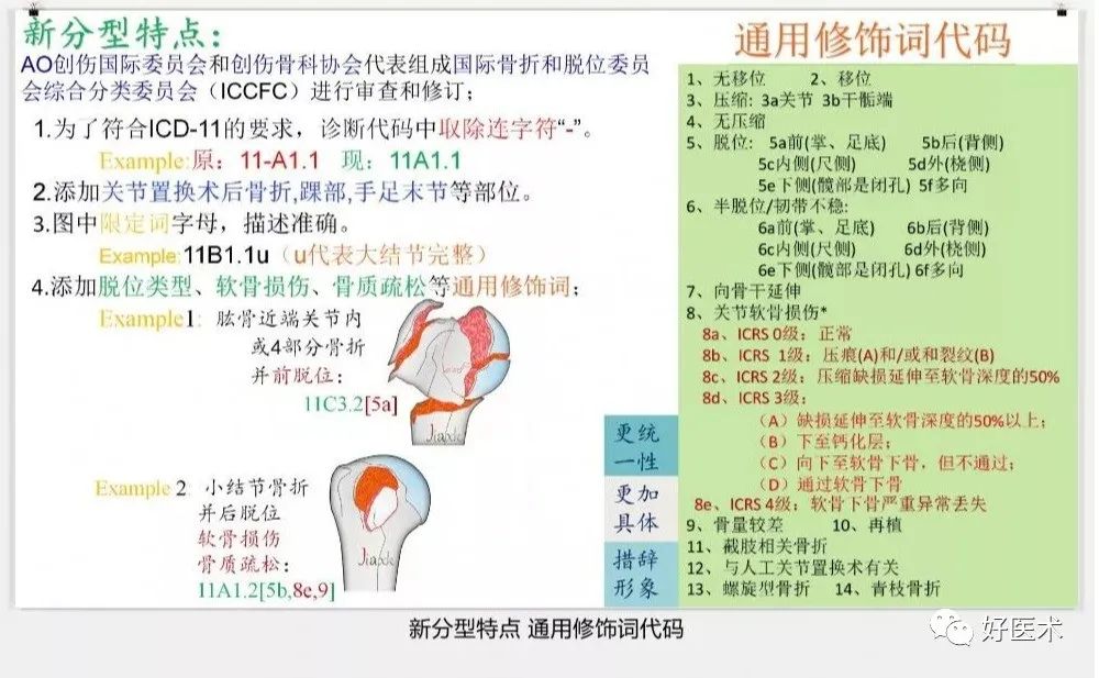 收藏版：636张AO骨折分型高清彩色图谱，比教科书更清晰！