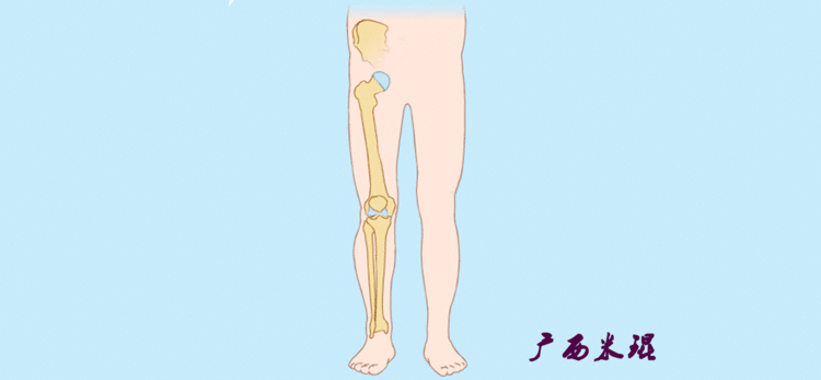 骨科必备基本功：最全下肢力线及相关角度测量，超清动图示教！