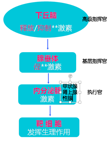 免疫治疗相关不良反应及处理，这篇总结超实用！