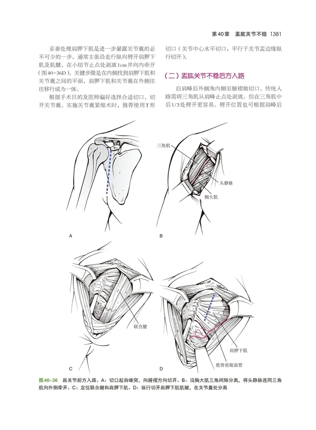 重磅新书