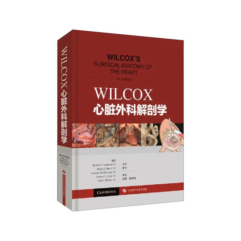WILCOX心脏外科解剖学