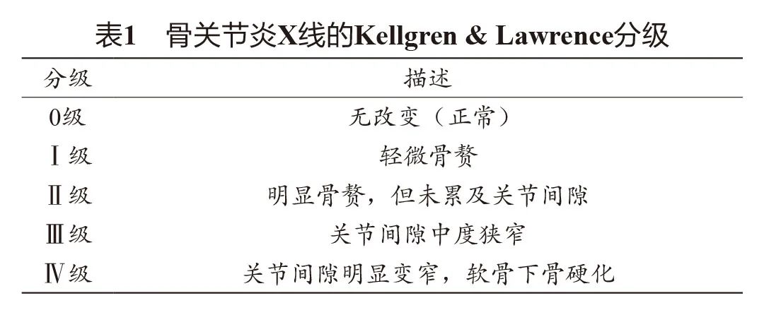 最新发布：骨关节炎临床药物治疗专家共识，速读！