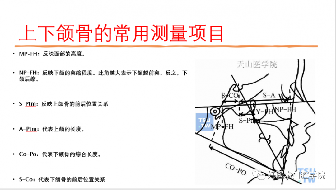 一篇很全的正畸基础知识，看完就能记住！