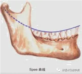 一篇很全的正畸基础知识，看完就能记住！