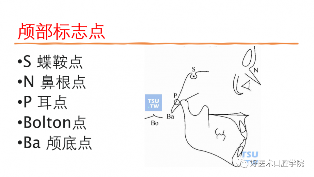 一篇很全的正畸基础知识，看完就能记住！