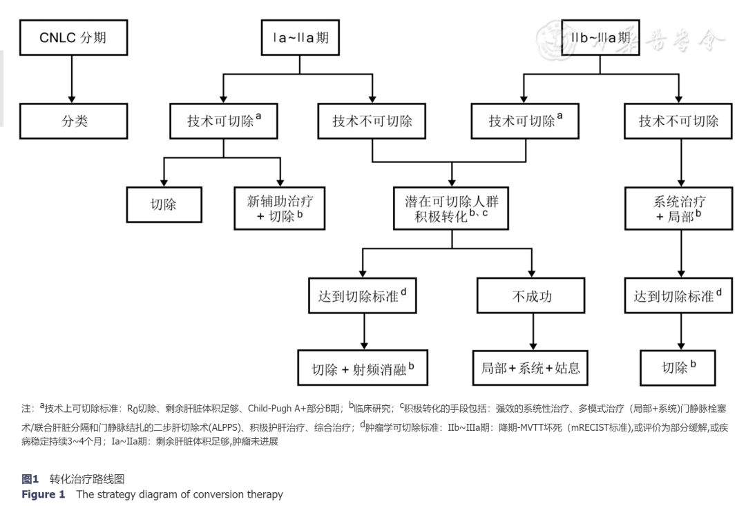 指南与共识