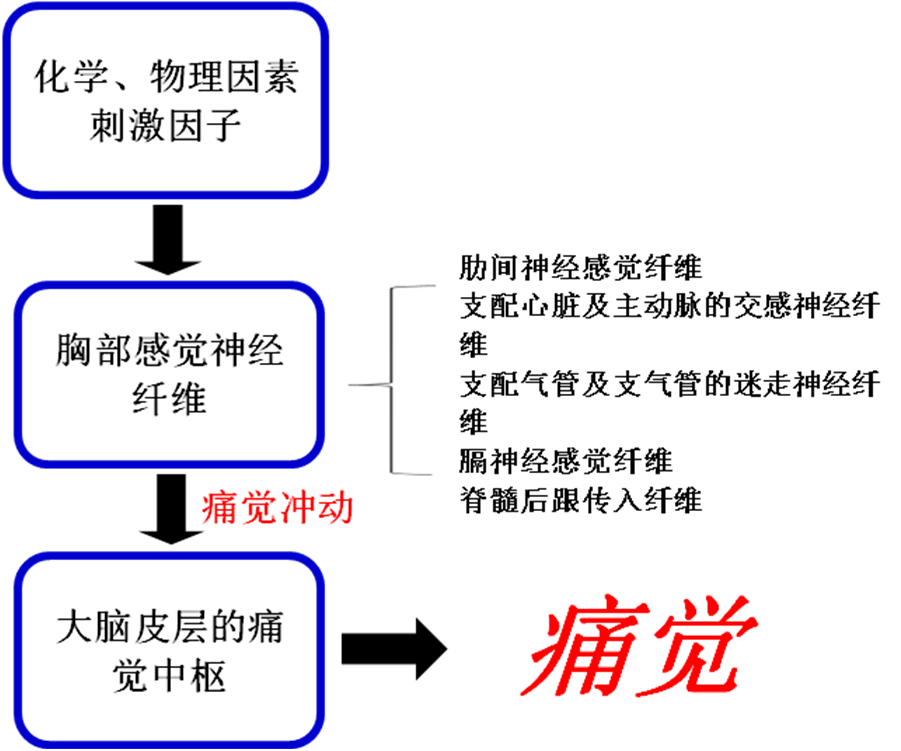 急性胸痛的诊断与鉴别诊断，这张表格收藏好了！