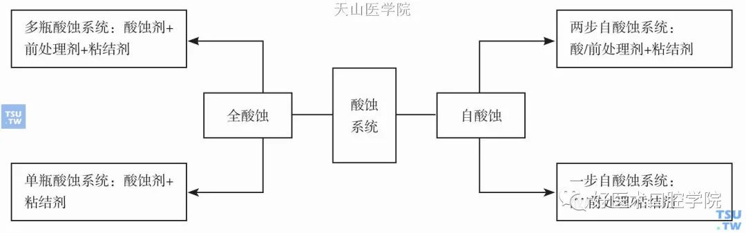 一文教你从根本理解口腔粘接系统，这个知识你必须看看了!