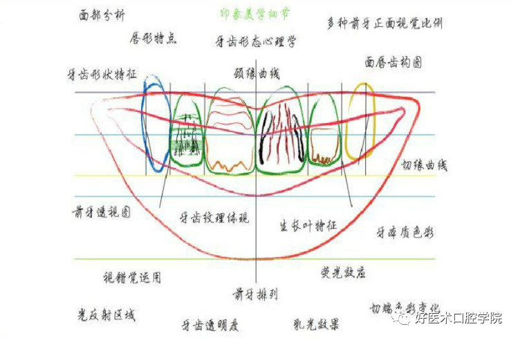 做好瓷贴面，这些细节不可忽略！