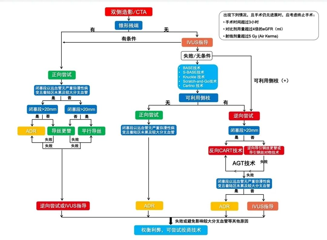 中国CTO病变介入治疗推荐路径更新！五大要点3分钟速读