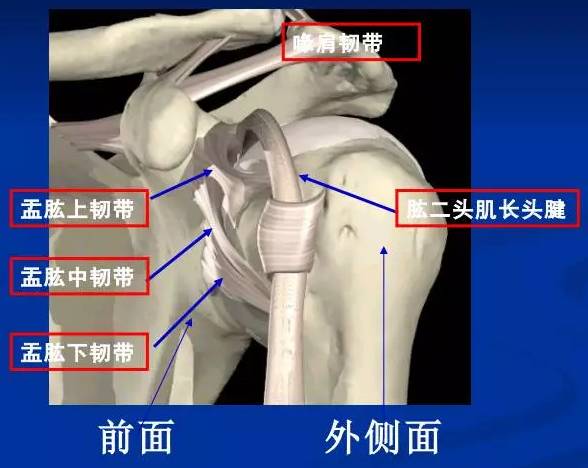 肩袖损伤最佳治疗方式，答案都在这篇（推荐收藏）！