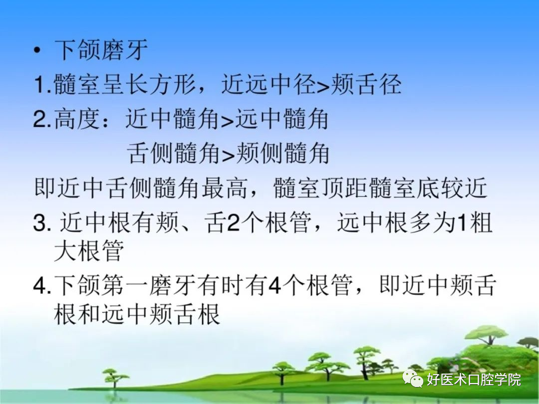 综合总结开髓技术与操作要点，看这一篇就够了！