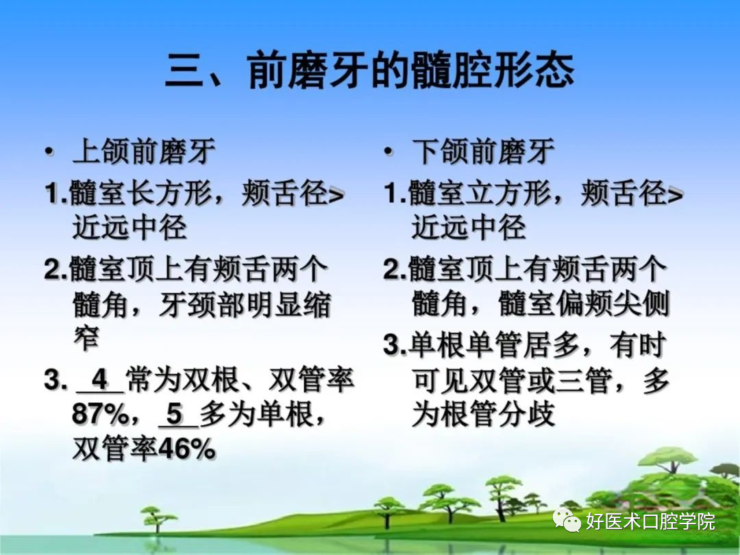 综合总结开髓技术与操作要点，看这一篇就够了！