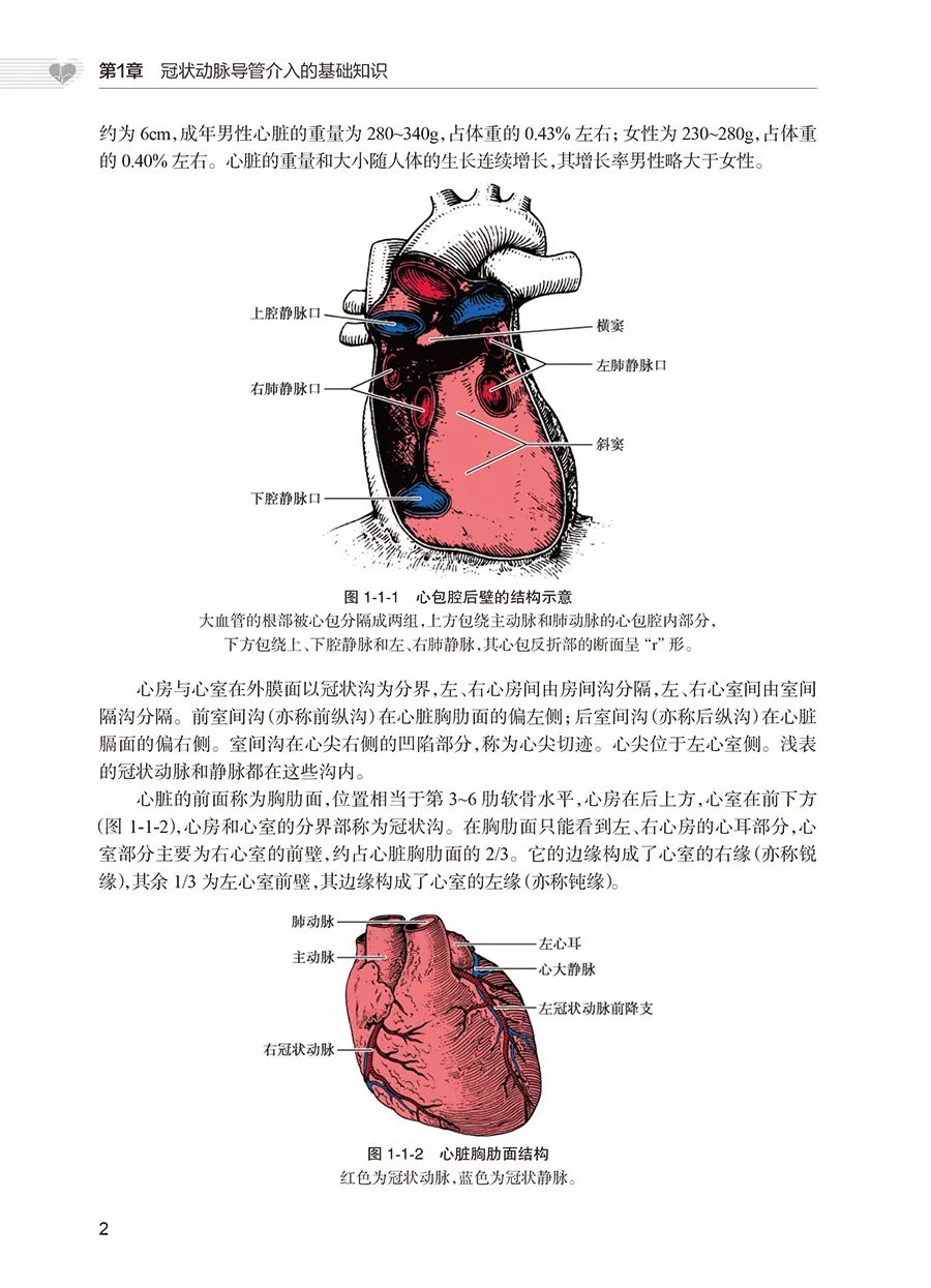 中国医学科学院阜外医院系列丛书，心血管介入治疗高级培训教程，必看！