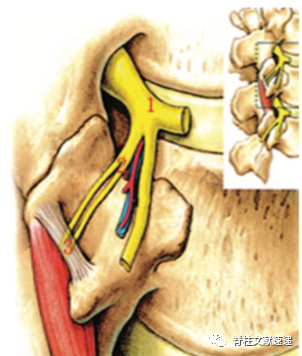 纯技巧干货，快速掌握腰骶椎最常用的6种诊断性介入操作！