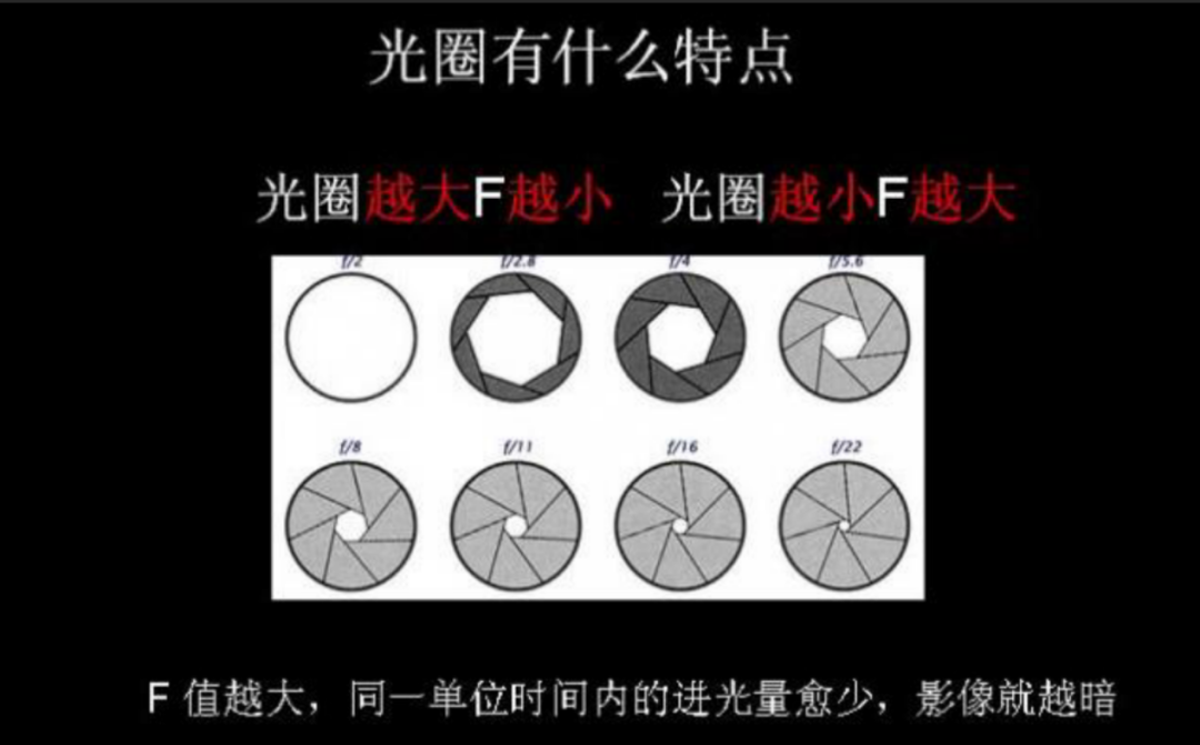 一文教你成为口腔摄影高手，拍出高格口腔图片！