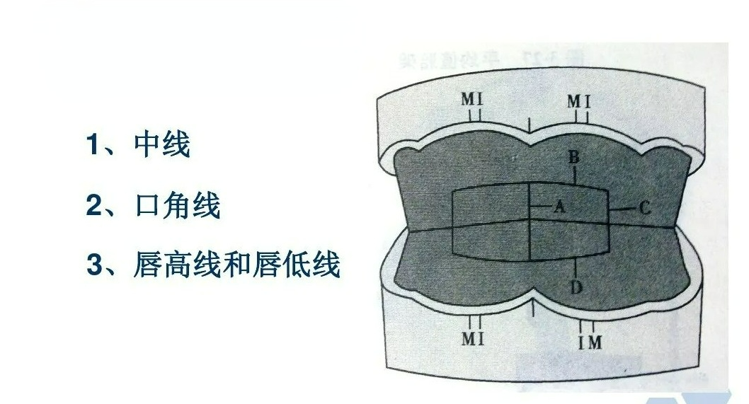 全口义齿合位关系记录要点，一文记住要点知识！