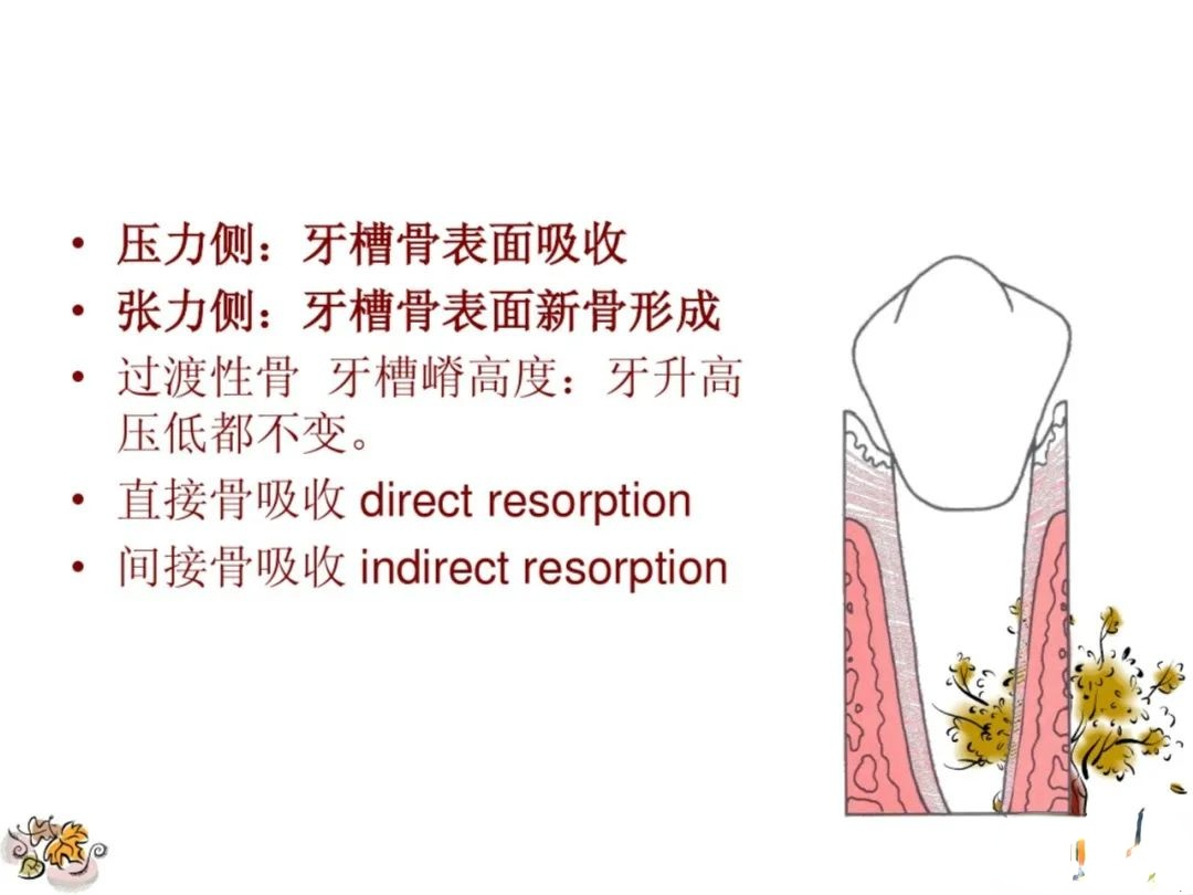 正畸矫治的生物力学总结，正畸基础必看！