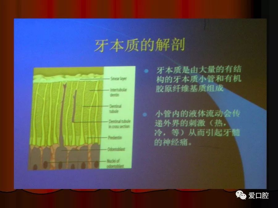 年轻恒牙外伤该怎么处理，看这一篇就够了！