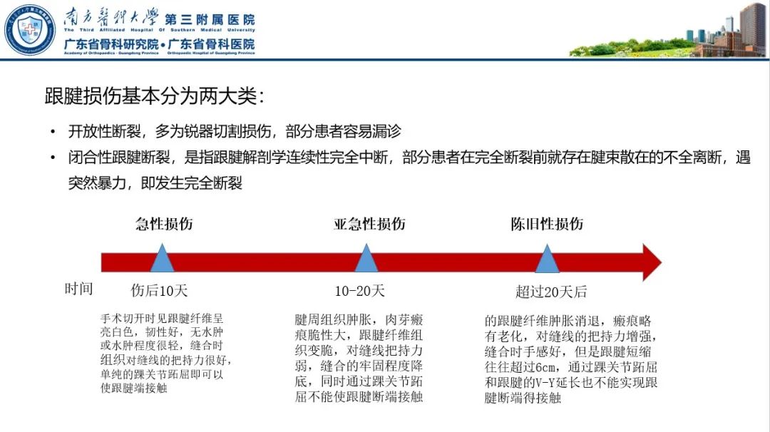 跟腱断裂的修复与重建手术全流程，这篇课件讲解打满分！