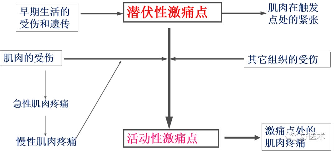 门诊最常见的肌筋膜疼痛综合征，你想知道的内容都在这了！