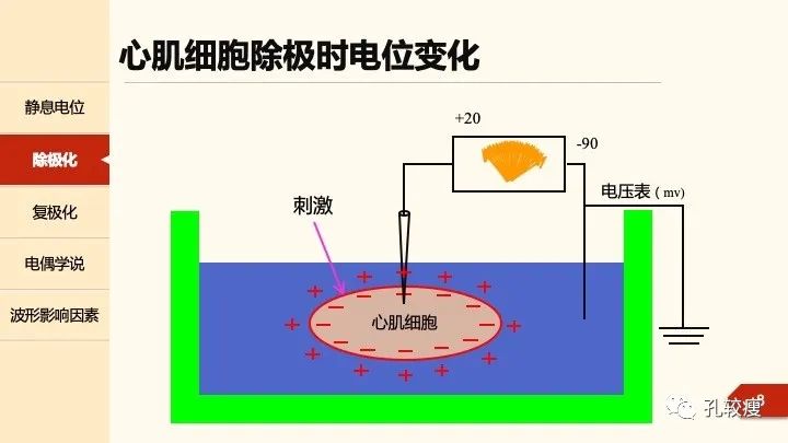 早读丨心电图太难懂学不会？这些基础知识一定要收藏！