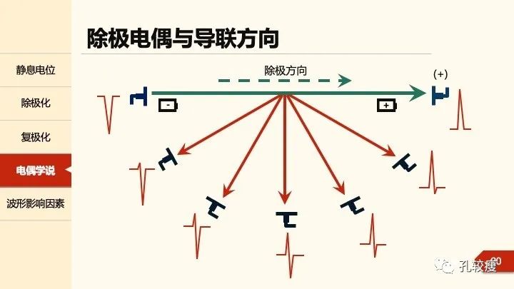 早读丨心电图太难懂学不会？这些基础知识一定要收藏！