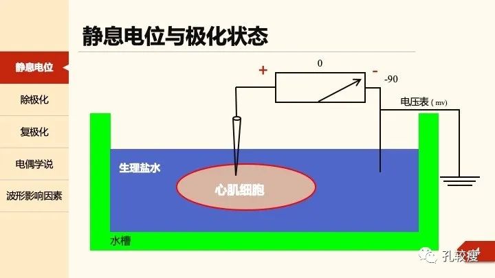 早读丨心电图太难懂学不会？这些基础知识一定要收藏！