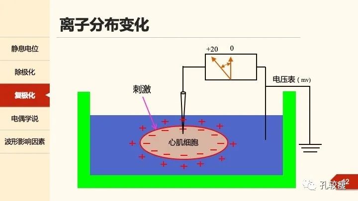 早读丨心电图太难懂学不会？这些基础知识一定要收藏！