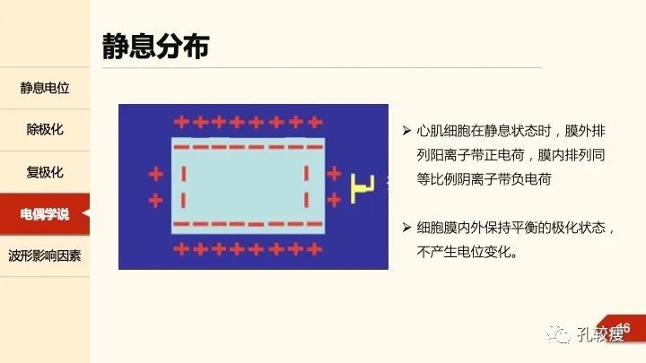 早读丨心电图太难懂学不会？这些基础知识一定要收藏！