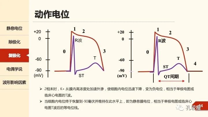 早读丨心电图太难懂学不会？这些基础知识一定要收藏！