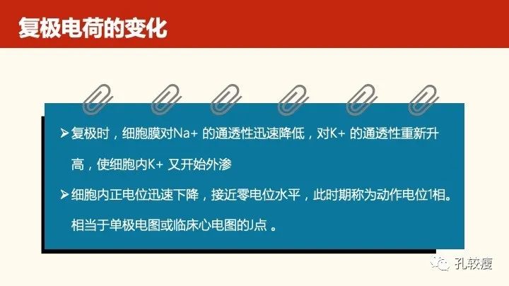 早读丨心电图太难懂学不会？这些基础知识一定要收藏！