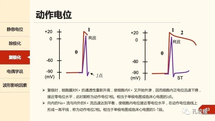 早读丨心电图太难懂学不会？这些基础知识一定要收藏！