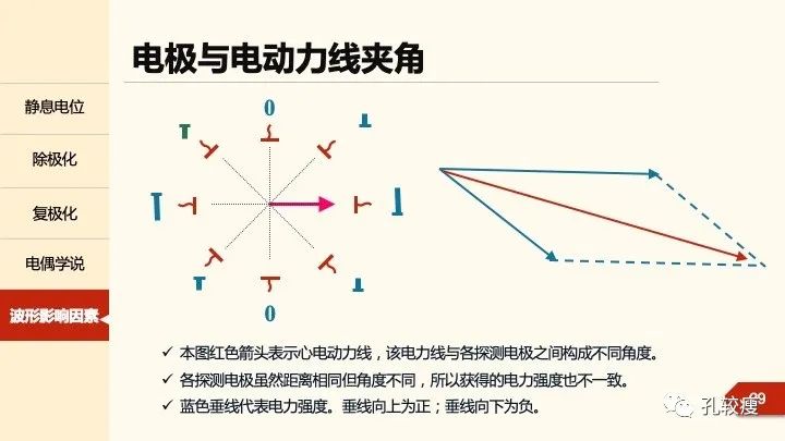 早读丨心电图太难懂学不会？这些基础知识一定要收藏！