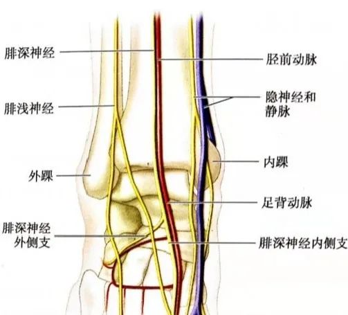 一文详解：开放骨折的分型及治疗！