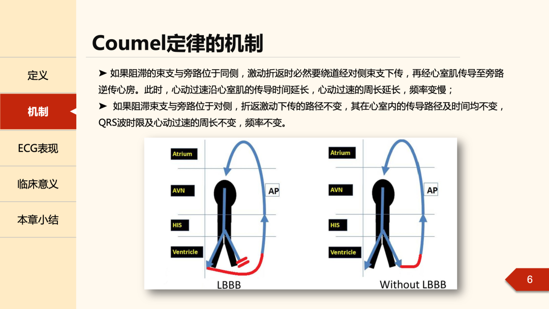 什么是心律失常中的Coumel现象？