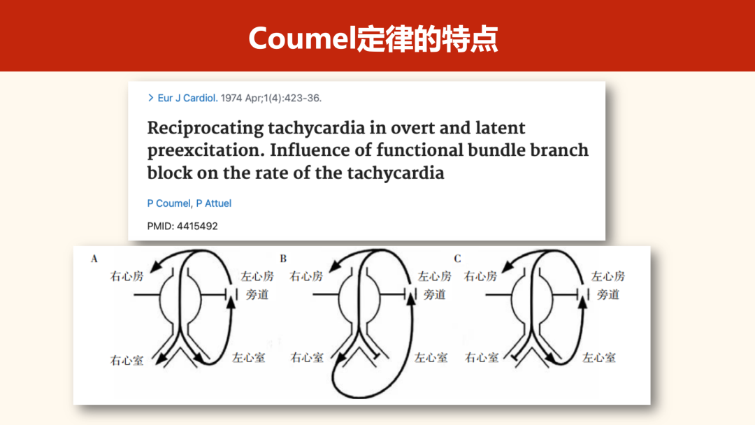 什么是心律失常中的Coumel现象？