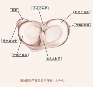 膝骨关节炎的“金字塔”三级疗法,每个都很重要!