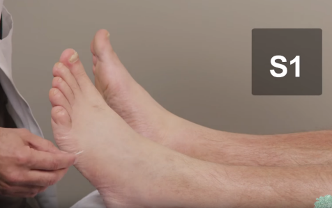 一文了解腰痛常用体格检查