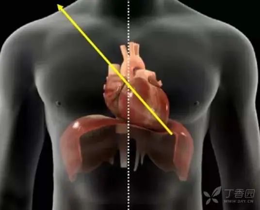 心脏超声各种平面解剖图，太震撼了！！