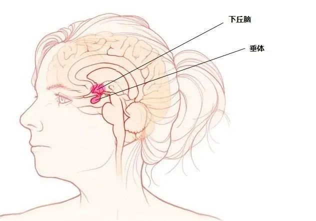 男子胸痛以为心梗，准备手术却一错再错