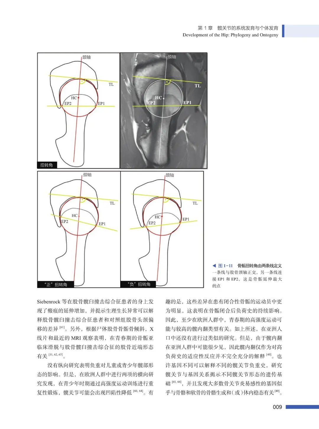 新书！髋关节修复：关节镜、关节置换、截骨与保髋手术国际新进展