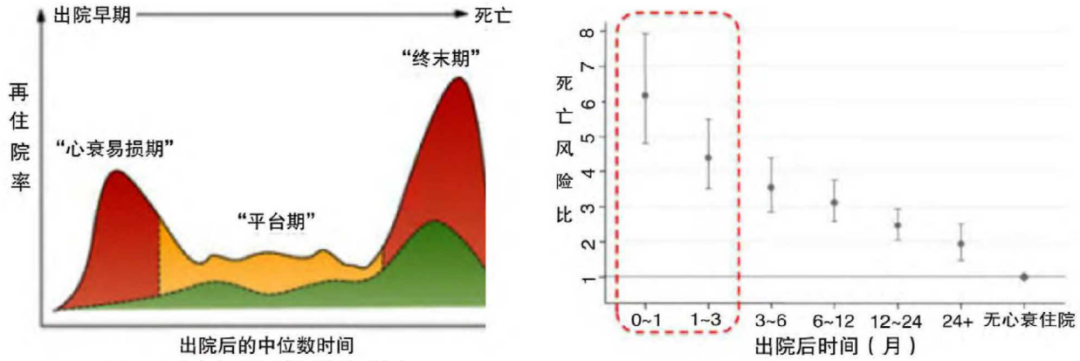 一文读懂心衰易损期