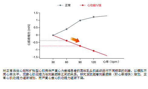 一文读懂心衰易损期