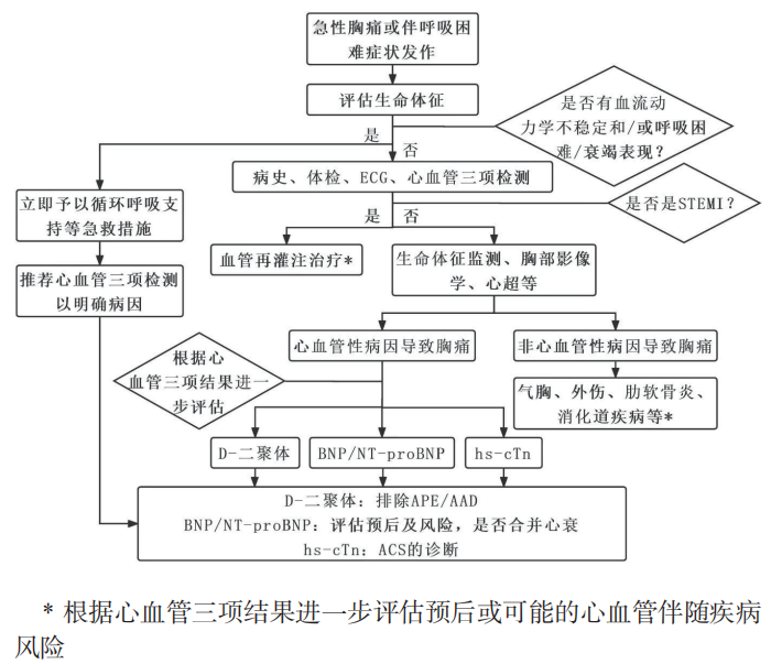 急性胸痛的急救原则